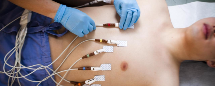 phlebotomy and ekg classes near me